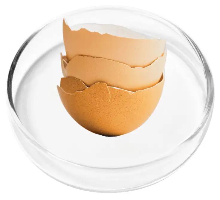  RevivaGlow Ingredient Avian Eggshell Membrane