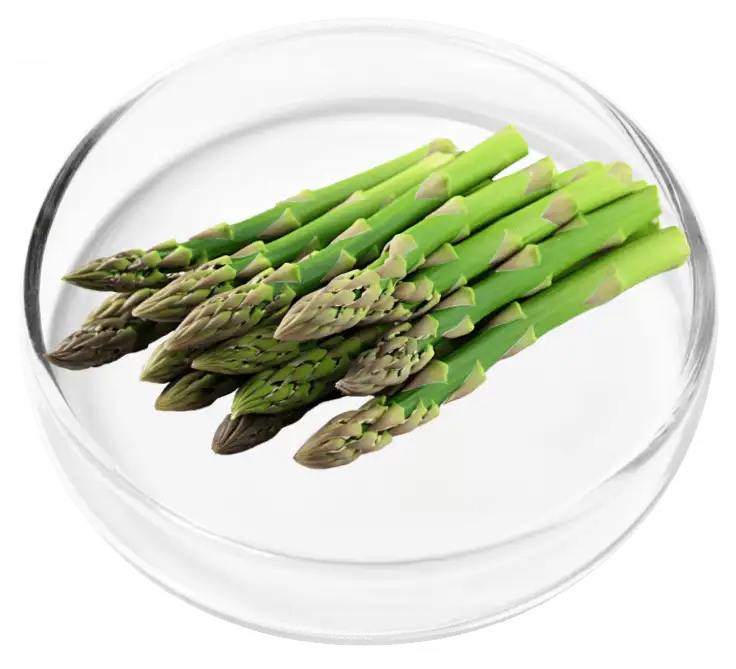 RevivaGlow Ingredient Folate 